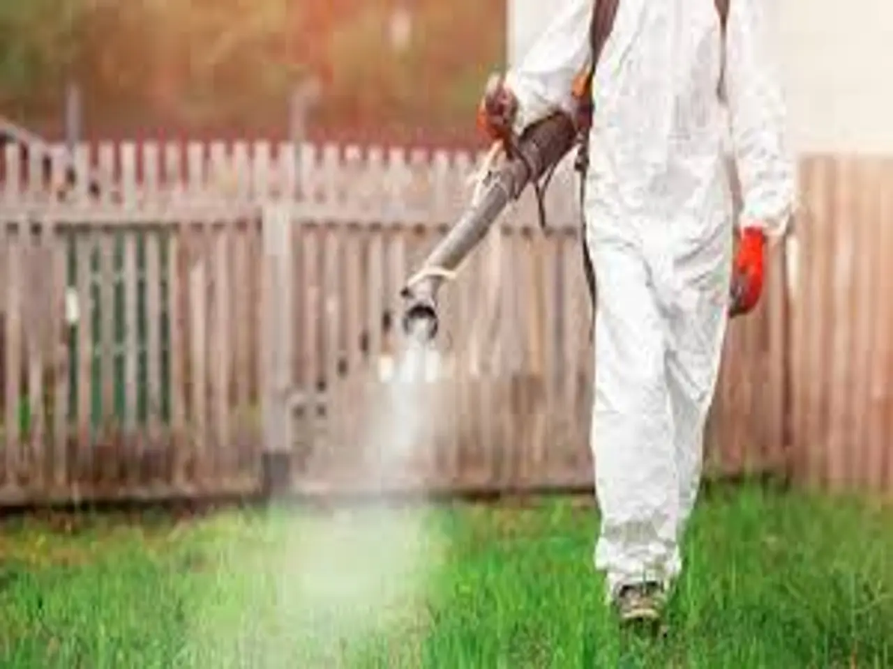 No uses pesticidas hasta leer esto: descubre cuáles son los más peligrosos para tu salud